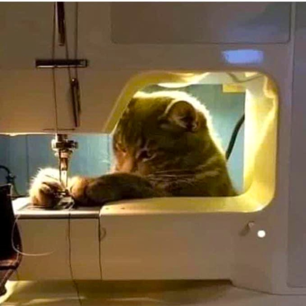 Meet your Posher, Juanita